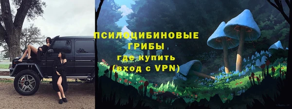 синтетический гашиш Медвежьегорск